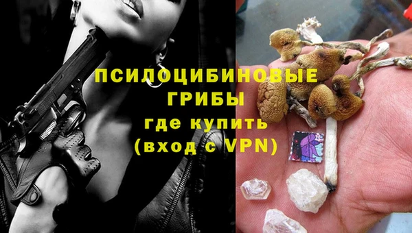 a pvp Богородицк