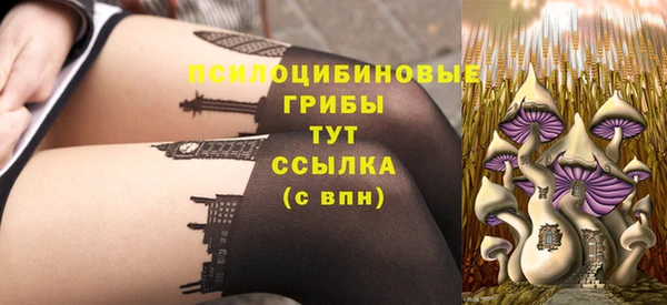 соль ск Богданович