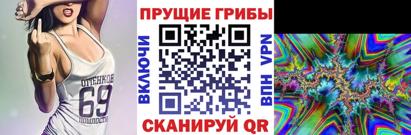 купить наркотик  omg ссылки  Галлюциногенные грибы мицелий  Боровск 